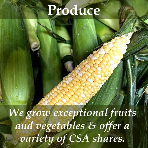 Produce-2024 Produce 2024